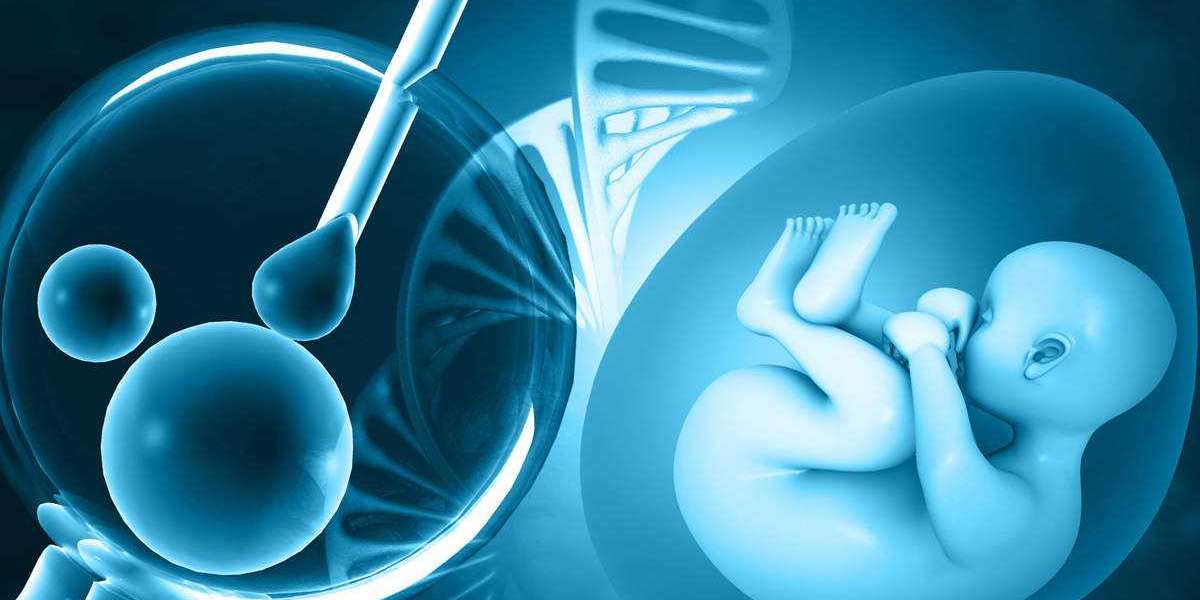 In Vitro Fertilization Services Market Share, Trend, Drivers, Challenges, Key Companies by 2030