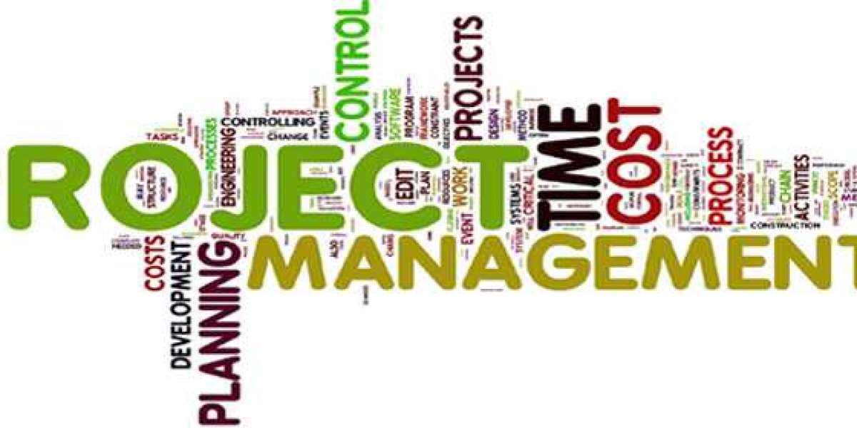Project Management Assignment Help Online