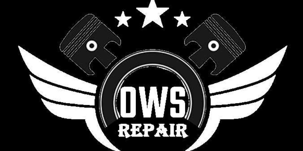 ows repair delhi