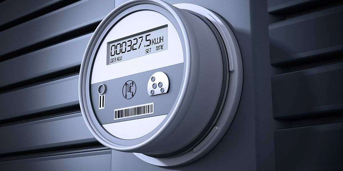 Forecasting Success Smart Meters Market Projections for the Next Decade