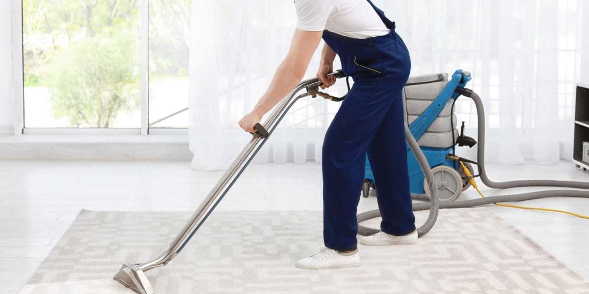 Witness the Power of Carpet Cleaning Professionals