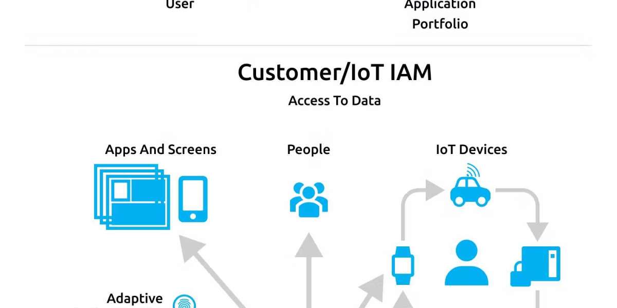 IOT- Identity Access Management Market Competitive Landscape, Assumptions, Objectives, Analysis to 2032