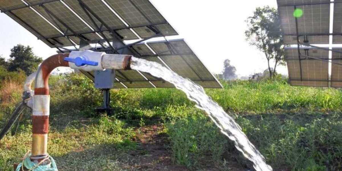 Pioneering Irrigation Case Studies of Solar Water Pump Applications Worldwide