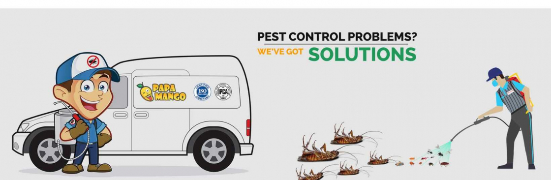 Reliable Termite Control Services