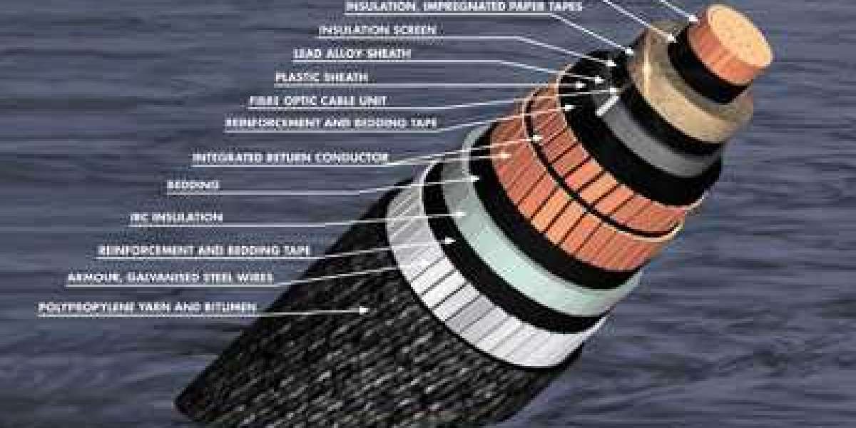 Visionaries of the Submarine Power Cable Market Leading Key Players