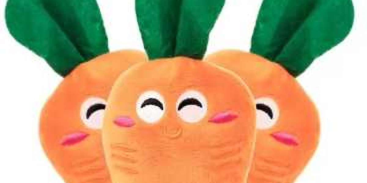 Soft Plush Dog Toy-Carrot