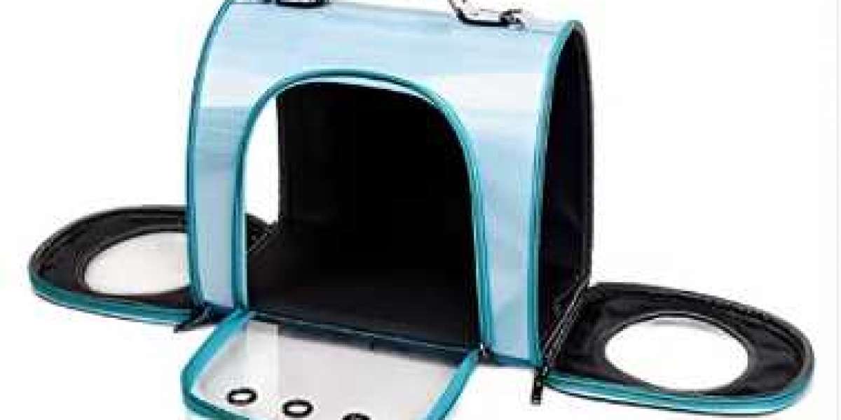 Choosing the Perfect Pet Carrier: A Buyer's Guide
