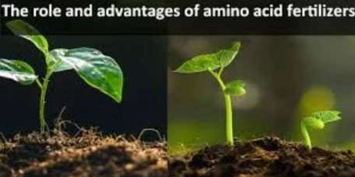 How to Choose the Best Amino Acid Fertilizer for Your Plants