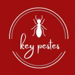 key pests