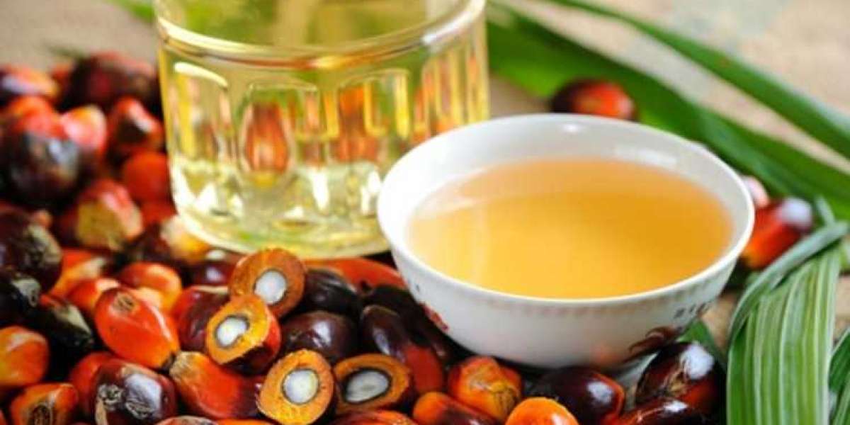 Indonesia Palm Oil Market Overview, Size, Industry Share, Growth, Report 2023-2028