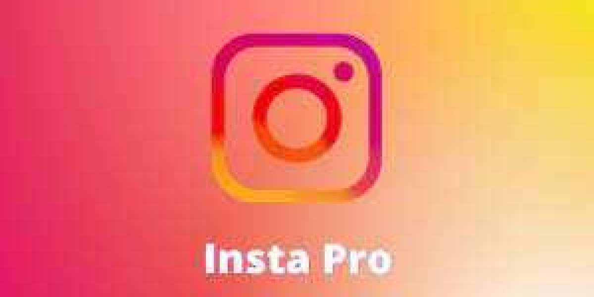 Insta Pro Playbook: A Comprehensive Guide to Elevate Your Social Media Presence