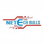 Netech Bulls