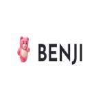 Benji The Bear
