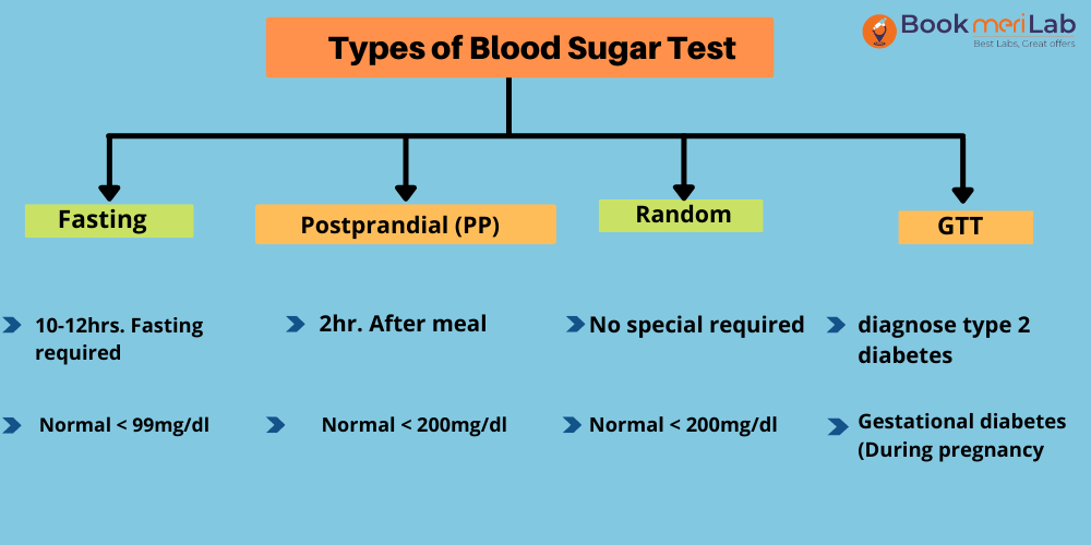 Sugar Test: Price, Purpose, Types & Results [2024] • Bookmerilab