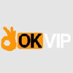 OKVIP Racing