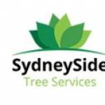 Sydney Side Tree Services