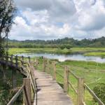 Cat Tien National Park Tours Park Tours