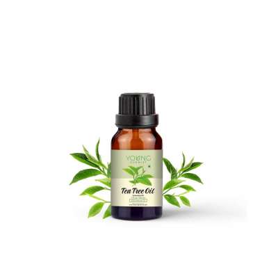 Tea Tree Oil Profile Picture