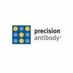 Precision Antibody