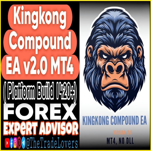 Kingkong Compound EA V2.0 MT4 (Works on Build 1421+) | Forex Robot | MT4 Expert Advisor - The Trade Lovers