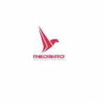 RedBird Technology Solutions Milwaukee