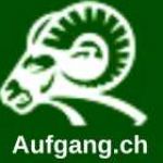 Auf Gang