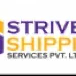 Strive Shipping Services