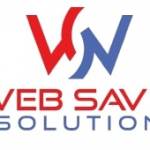 Web Savy Solution