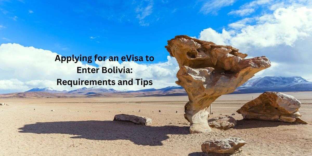 Applying for an eVisa to Enter Bolivia: Requirements and Tips