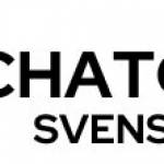 chatgptsvenska11