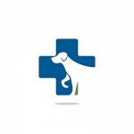 Veterinary Clinic Profile Picture