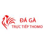 Đá Gà Trực Tiếp Thomo Hôm Nay