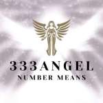 333 Angel Number Means