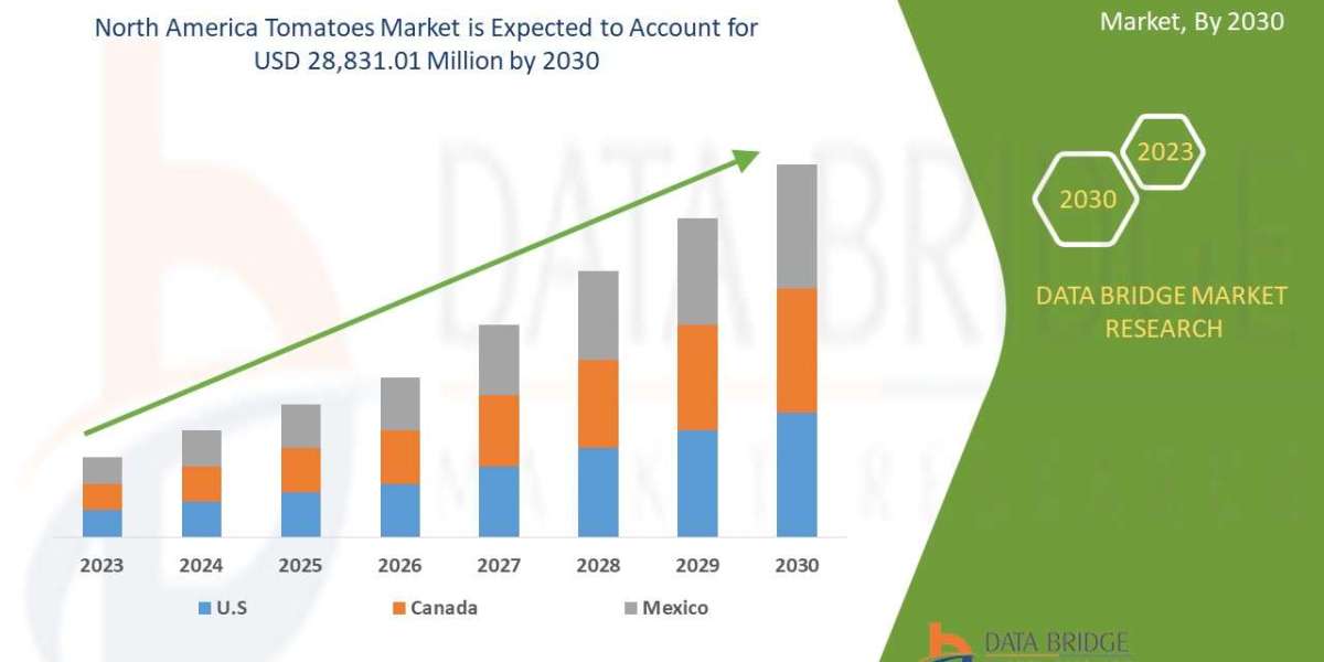 North America Tomatoes Market Forecast, Growth Insights, and Size Analysis