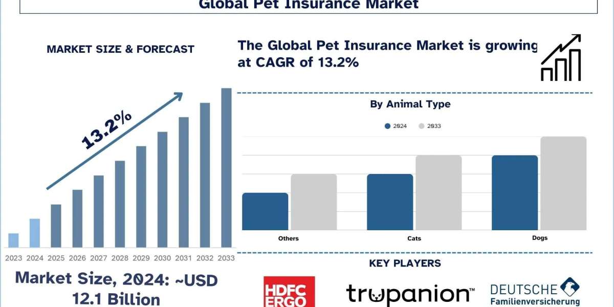 Insurance Market Reports, Share, Trends, Segmentation and Forecast 2033