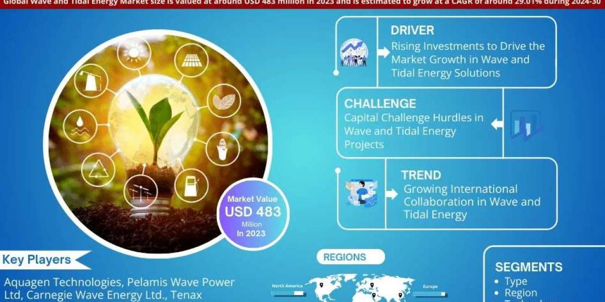 Wave and Tidal Energy Market Insights, Share & Growth Trends 2024 to 2030