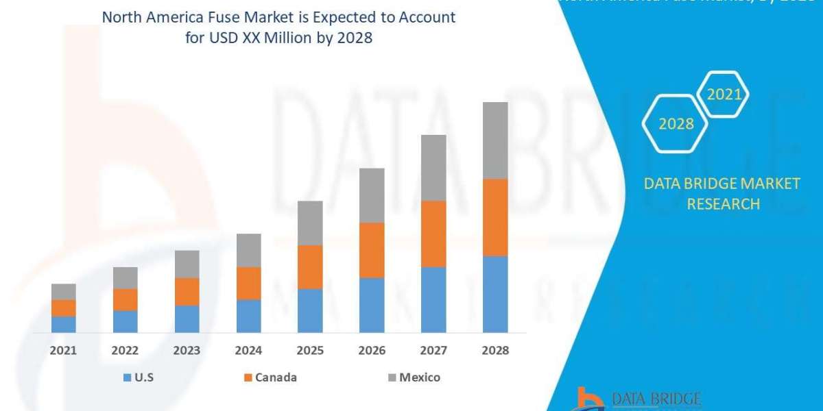 North America Fuse Market Size, Share, Trends, Demand, Future Growth, Challenges and Competitive Analysis