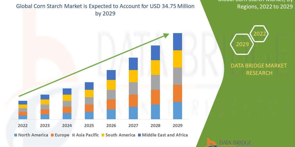Corn Starch Market Size & Analysis: A Staple Ingredient Across Industries - Trends and Forecast