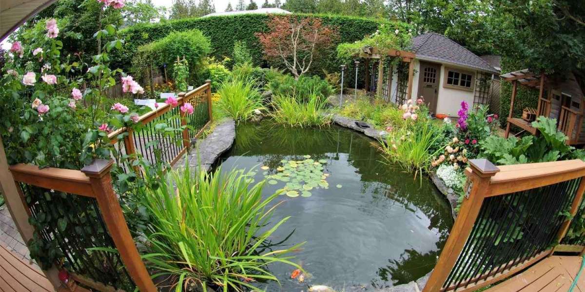 Expert Garden Care for a Lush, Healthy Lawn All Year