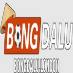 Nhà cái BONGDALU
