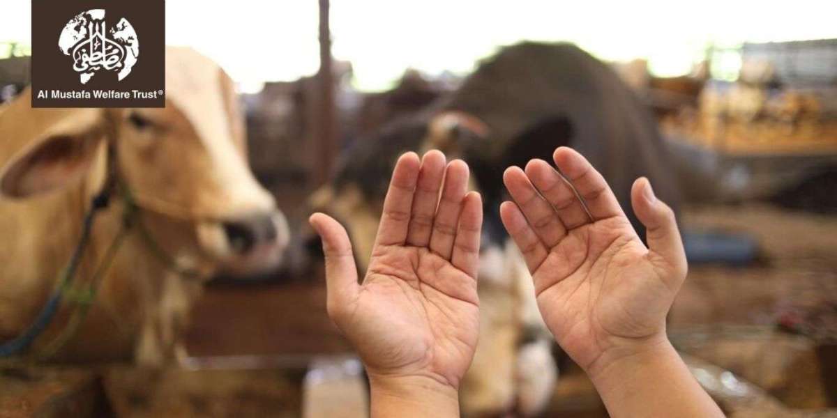 10 Ways to Make Your Qurbani Donation More Effective