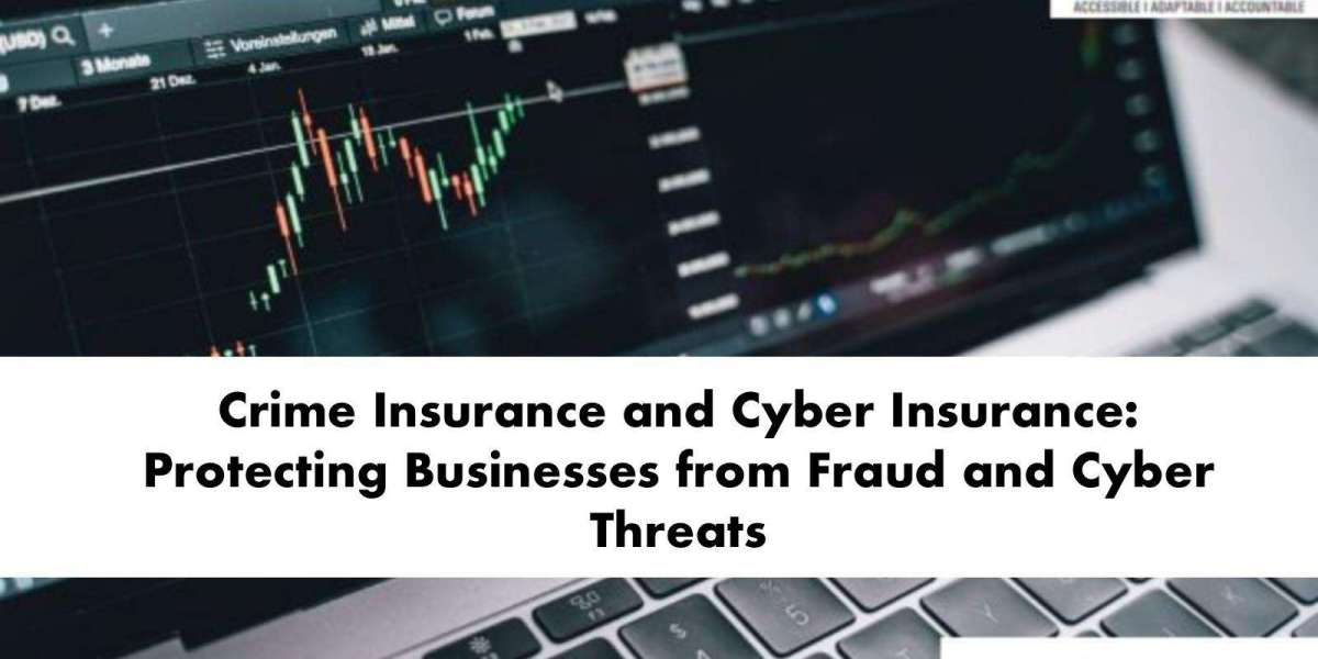 Crime Insurance and Cyber Insurance: Protecting Businesses from Fraud and Cyber Threats