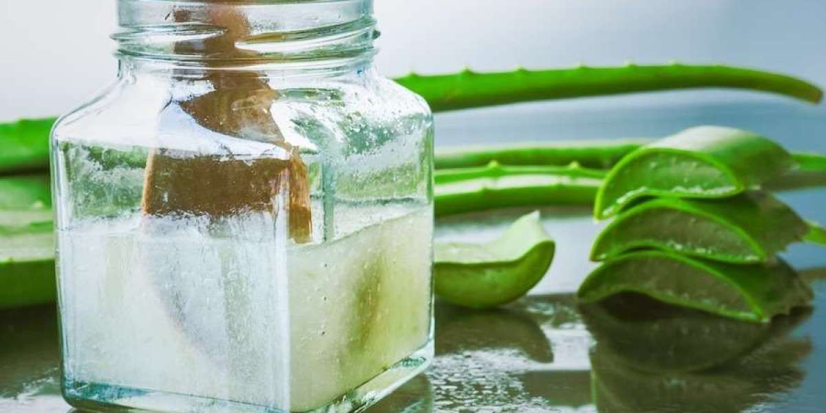 Exploring the Plan for Aloe Vera Processing Plant Project: Detailed Report by IMARC Group