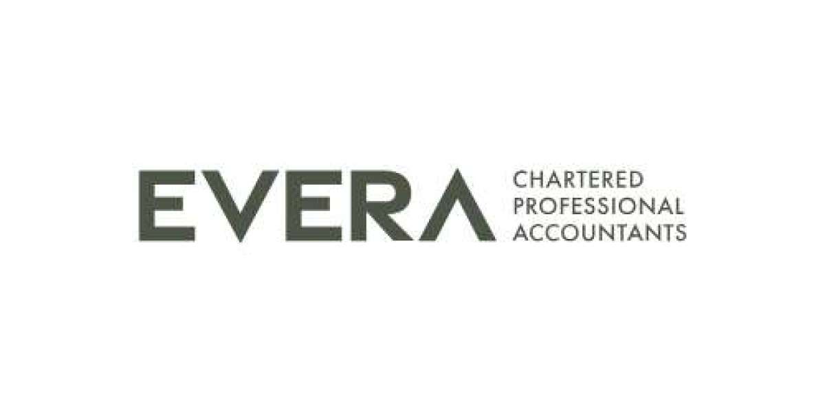 Small Business Accountant