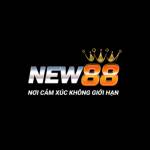 Nhà cái NEW88
