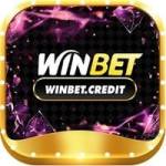 winbetcredit