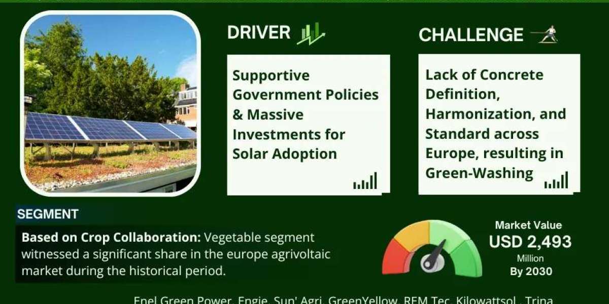 Europe Agrivoltaic Market Insights, Share & Growth Trends 2025 to 2030