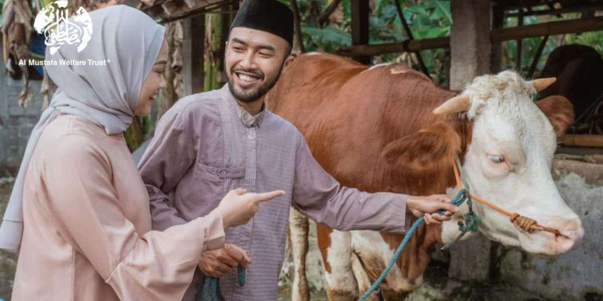 Clear Guide to Donating and Sharing Qurbani This Year