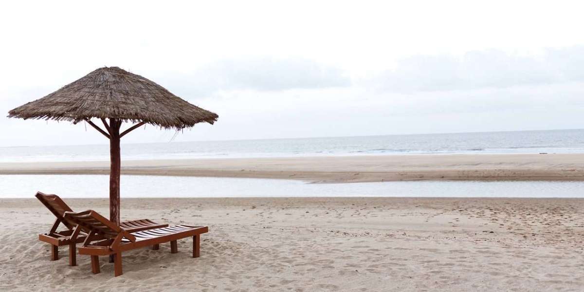 Catch a Flight to Ahmedabad and Explore the Hidden Gem – Mandvi Beach
