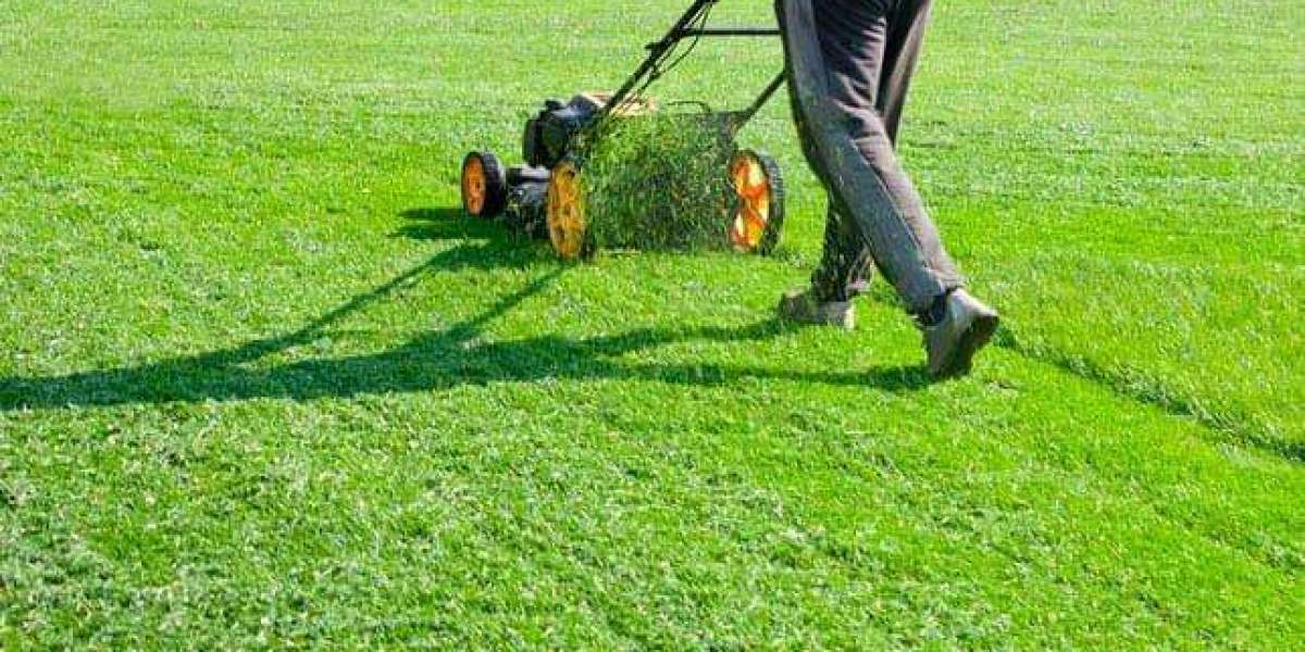 Top Lawn Care Services in Leander & Denton